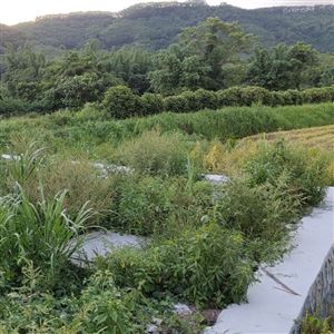 海口分散式污水处理设备